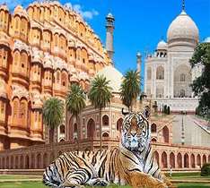 Golden Triangle Tour with Tiger Safari